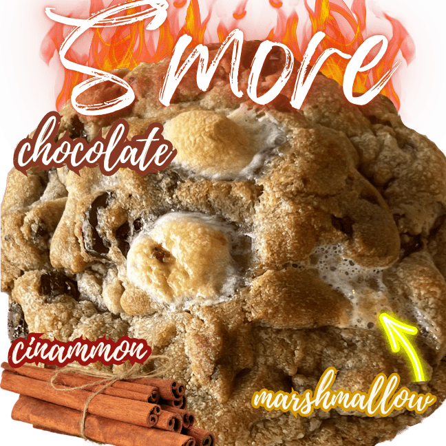 Cocoa Cookie Bar 4 Smore