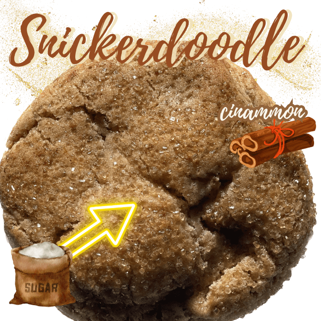 Cocoa Cookie Bar's soft-baked snickerdoodle cookie — bold cinnamon flavor, finished with a sprinkle of sugar, crispy edges with a tender center, Houston TX