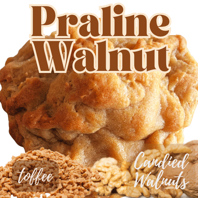 Cocoa Cookie Bar 1 Praline Walnut