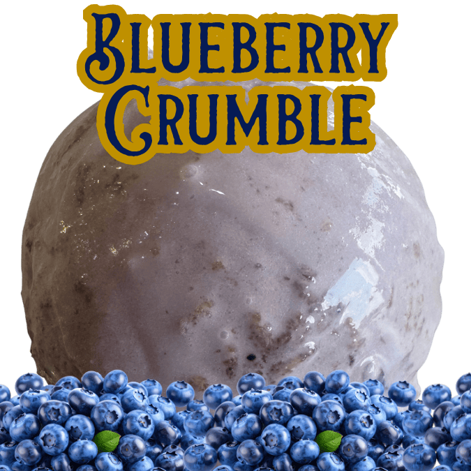 Cocoa Cookie Bar 24 Blueberry Crumble