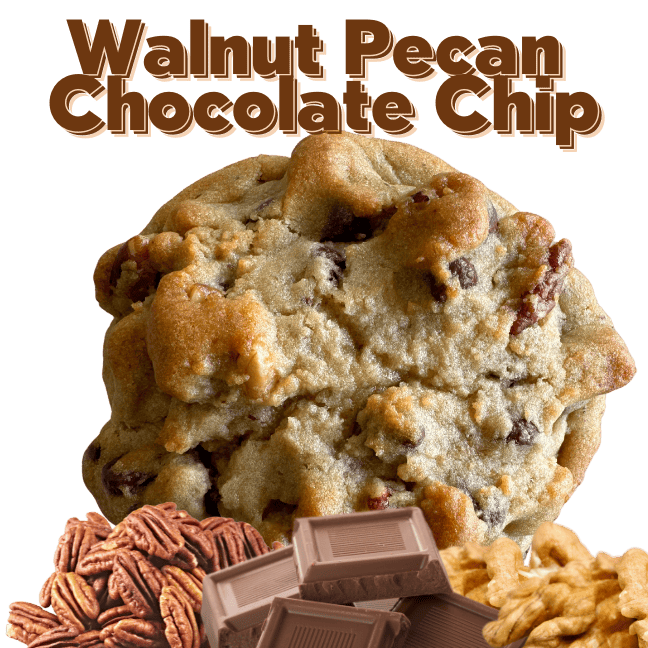 Cocoa Cookie Bar 1 Walnut Pecan